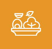 Nutritious vegeterian meals
